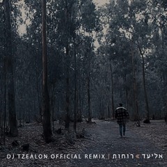 אליעד - רוחות / Eliad - Spirits (DJ Tzealon Official Remix)