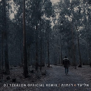 אליעד - רוחות / Eliad - Spirits (DJ Tzealon Official Remix) mp3