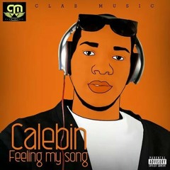 Feeling My Song By Calebin
