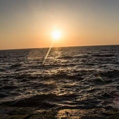 كيف لي أن أُشفى من حُبِكَ - عبير نعمة