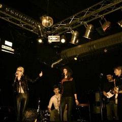 Balck Horse And A Cherry Tree