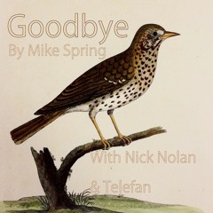 Goodbye by Mike Spring (w/ Nick Nolan & Telefan)