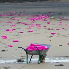 Heroes (Against Pretty Pink Bottles )