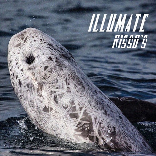 Illumate – Risso's (prod. Secret Wave)