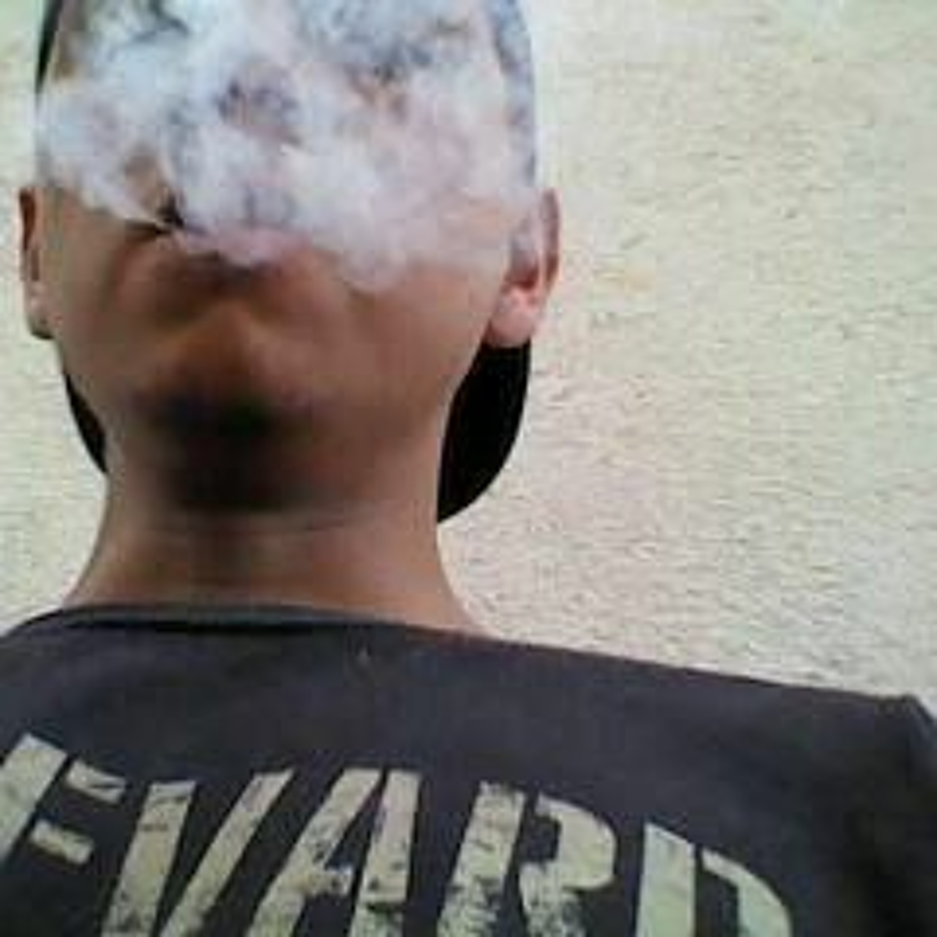 GISERDZ
