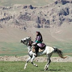 Bakhtiari - Tajmiri - Asemoon