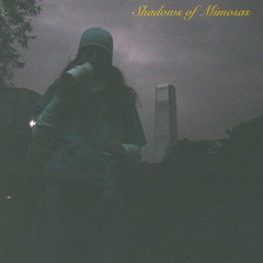 Shadows Of Mimosas (Prod. Lekeus)