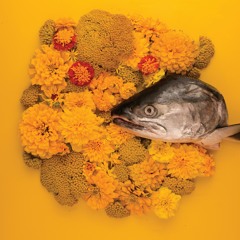 Fish Eyes EP
