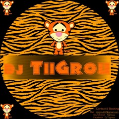 Dj TiGrou - TiiGrAfro 2