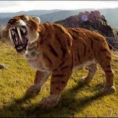 Sabertooth