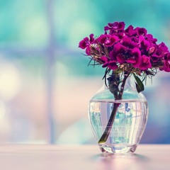 Benefits From the Example of A Woman of Paradise By Abu Yusuf Khaleefah