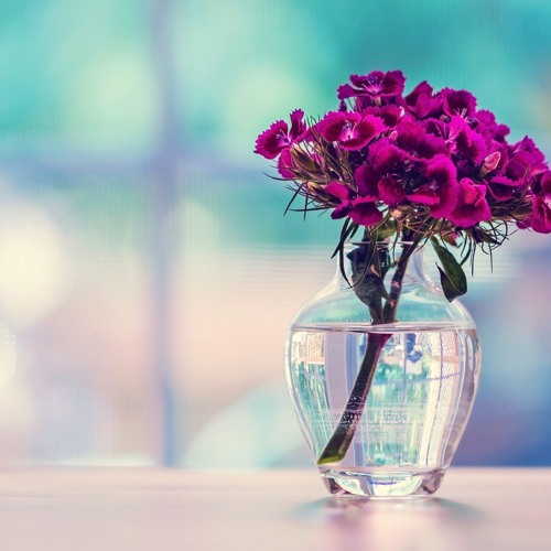 Benefits From the Example of A Woman of Paradise By Abu Yusuf Khaleefah
