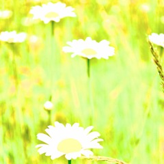 Withdrawal (Unfinished DEMO)