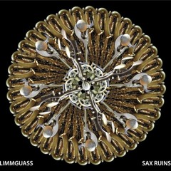 SAX RUINS 2nd album "Blimmguass" Digest