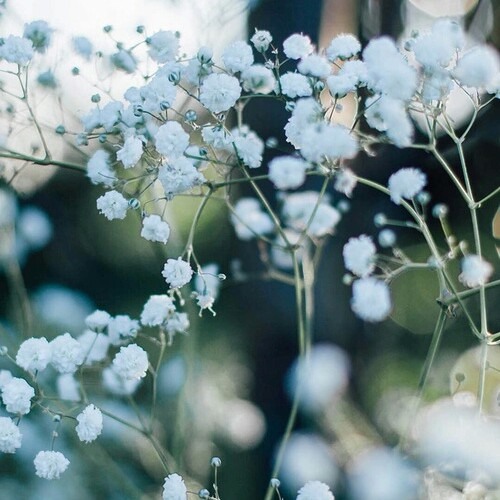 ما رح ازعل ع شي ، ماجدة الرومي