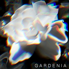 Gardenia (Iggy Pop)