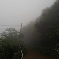 POD Song #01 Finished Master ("Life")