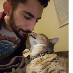 Sacred Sun by Judas Cradle