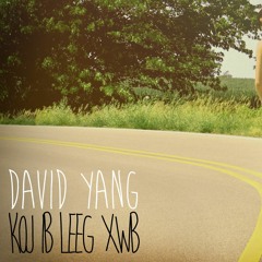 8. Koj Ib Leeg Xwb (instrumental)