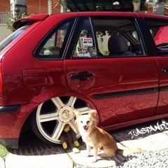 Mc João - Curriculum ( Up Igor Ribeiro )