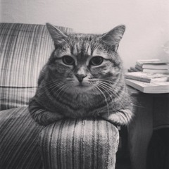 Sing Down The Moon - Country Song