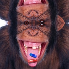 Mondaze Melody Remedy 2016 Week 4