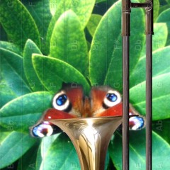 Gyula- Praeditos -KONOKUNOK-kaginski