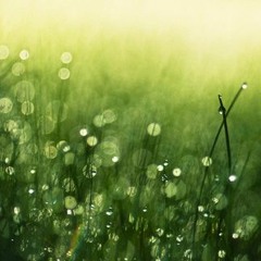 Nuansa Bening (Vidi Aldiano Cover)