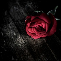 Adar_قــدر    TeMe