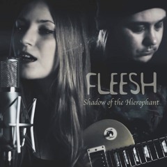 Steve Hackett - Shadow of the Hierophant (Fleesh Version)