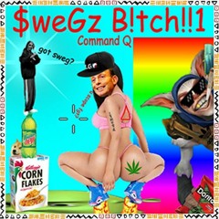 Swag Bitch - COMMAND Q (FREE DOWNLOAD)