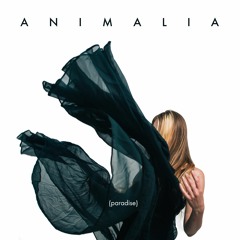 Animalia - Paradise