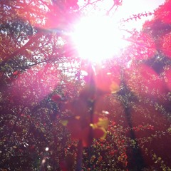 Luft - live @ victoria