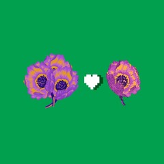 _RHL - Dard (Happy New Year)