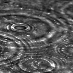 PAPER RAINS