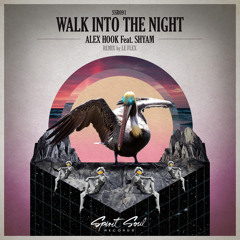 Alex Hook Feat. Shyam - Walk Into The Night (Le Flex Remix)