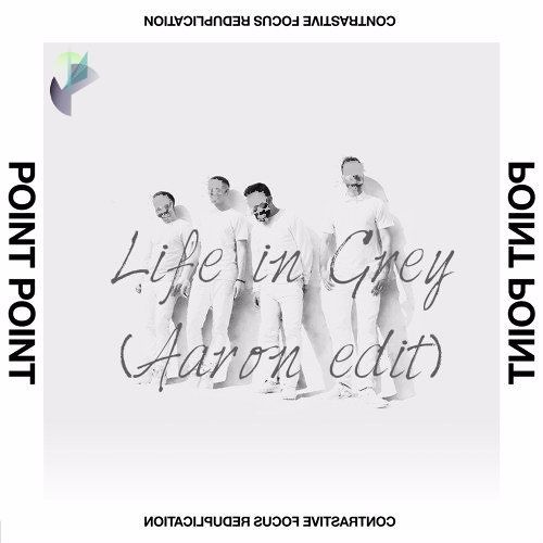 Point Point - Life in grey (Aaron edit)