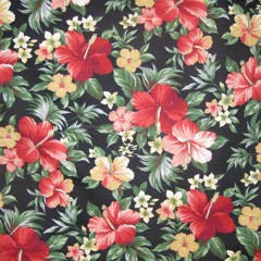 Clint Eastwood (Unlike Pluto Remix)(Free DL)