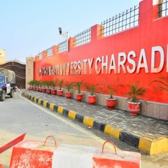 Somra Grana Zindagi Da | Pashto Song