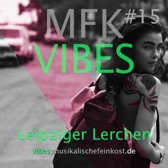 MFK VIBES #15 Leipziger Lerchen // 30.10.2015