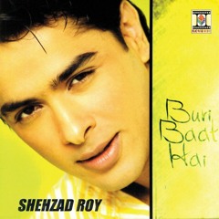 Na Asi Shehzaday - Shehzad Roy