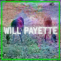 Hearts (Tim and Eric)