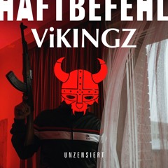 Haftbefehl - Kalash (ViKINGZ Remix)