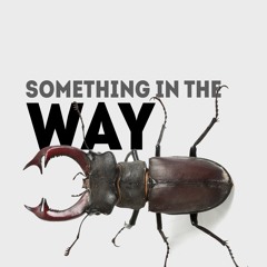 Something in the Way (Nirvana cover)