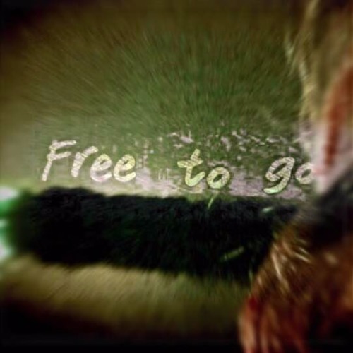Free To Go