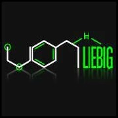 Von Liebig feat. Virginia Slimm - Needle In The Hay