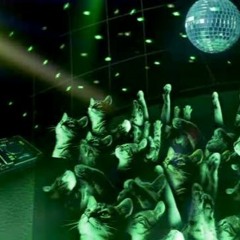 SpaceCadet - Catopia