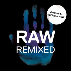 Kaiserdisco - S3000 (Stephan Hinz Remix) - KD RAW 007R