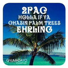 Holla If Ya Chasin Palm Trees (GNUMADAYO Mashup)