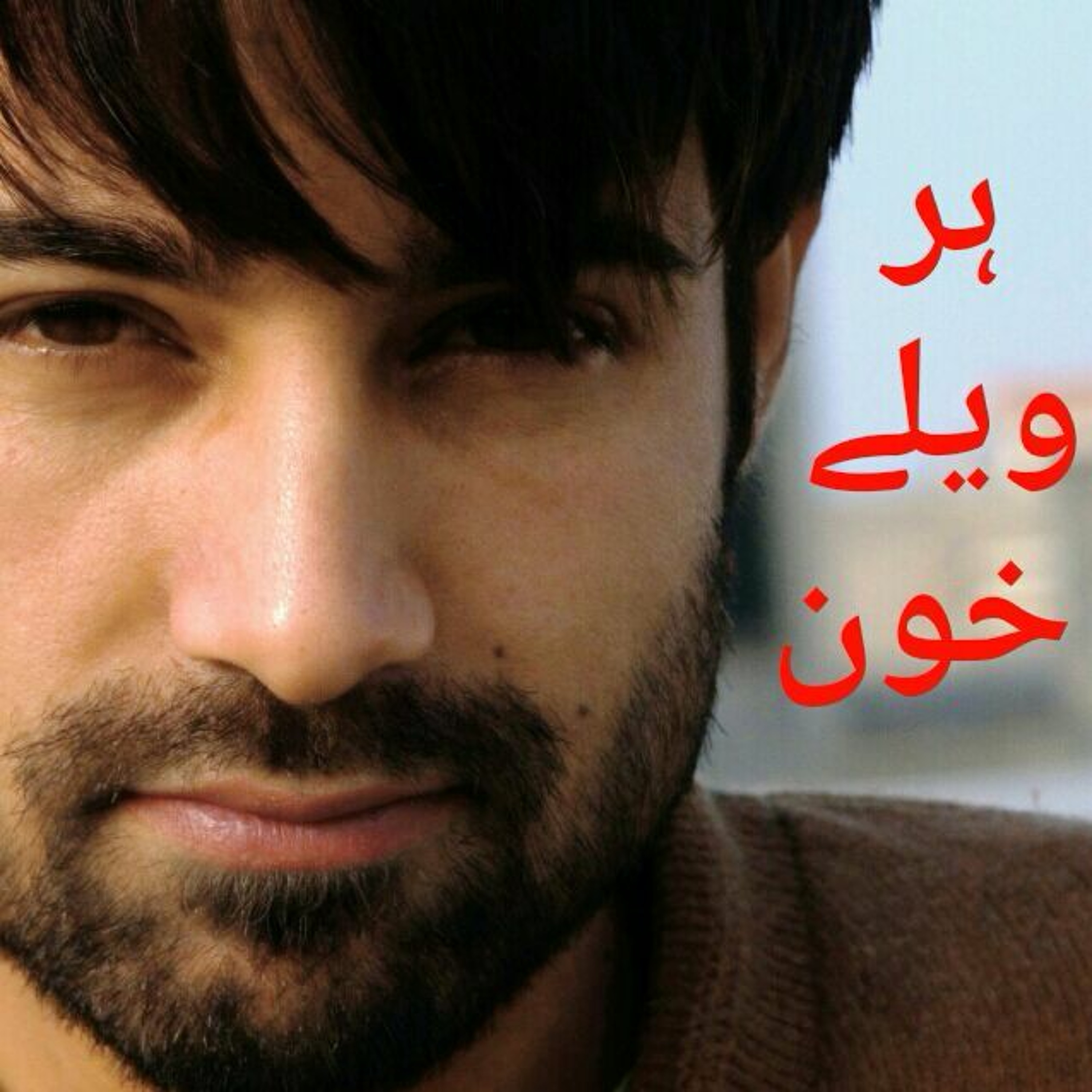 Sheharyarteetu